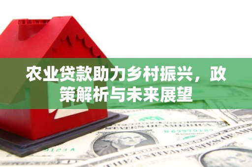 广德农业贷款助力乡村振兴，政策解析与未来展望
