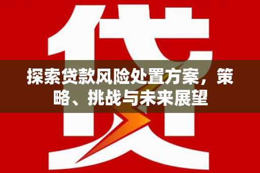 广德探索贷款风险处置方案，策略、挑战与未来展望