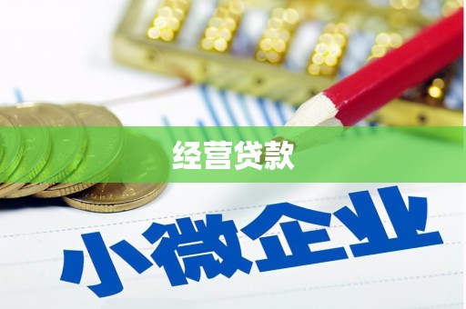 广德经营贷款