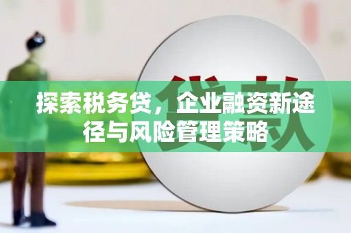 广德探索税务贷，企业融资新途径与风险管理策略