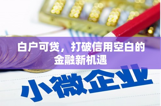 广德白户可贷，打破信用空白的金融新机遇