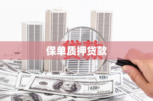 广德保单质押贷款