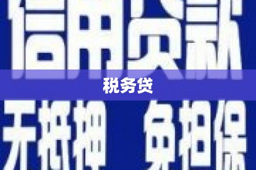 广德税务贷