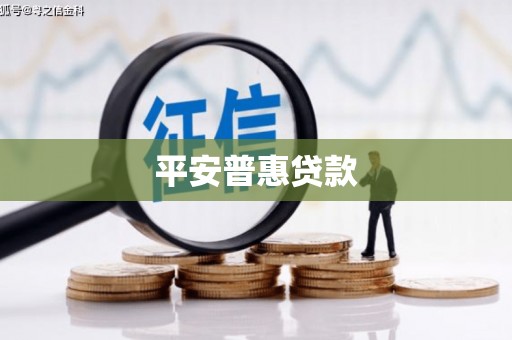 广德平安普惠贷款