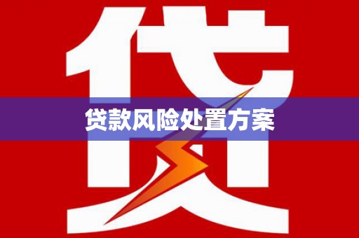 广德贷款风险处置方案
