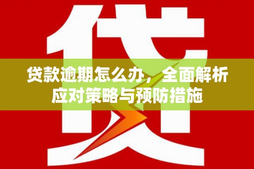 广德贷款逾期怎么办，全面解析应对策略与预防措施