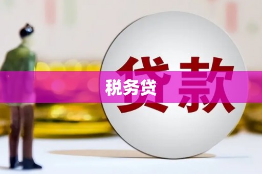 广德税务贷