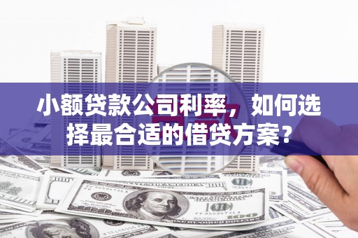 广德小额贷款公司利率，如何选择最合适的借贷方案？