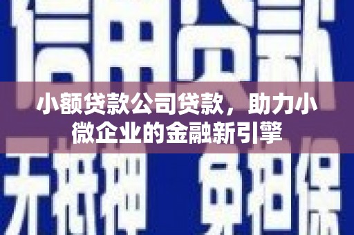 广德小额贷款公司贷款，助力小微企业的金融新引擎