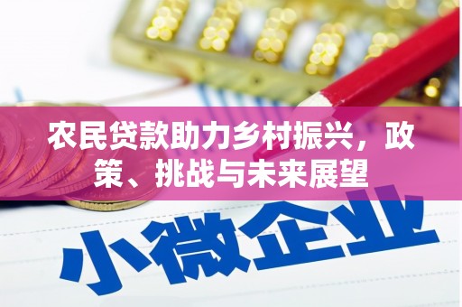 广德农民贷款助力乡村振兴，政策、挑战与未来展望
