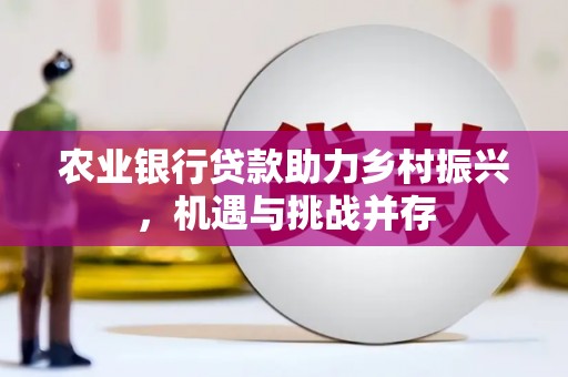 广德农业银行贷款助力乡村振兴，机遇与挑战并存