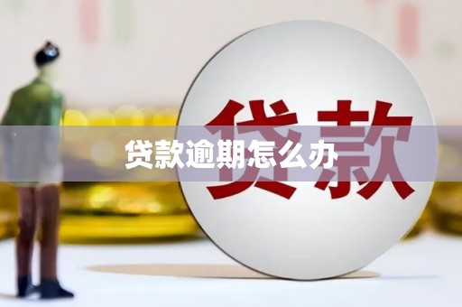 广德贷款逾期怎么办