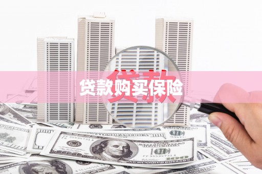 广德贷款购买保险
